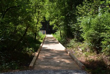 Rundwanderung Waldmoor Tantegert