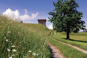 Peter-Anich-weg