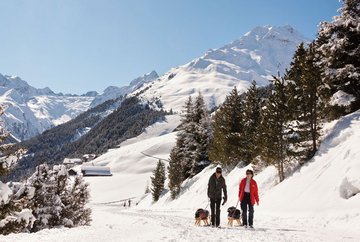 Pista da slittino della malga Koglalm Praxmar