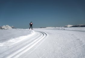Langlaufen am Rangger Köpfl