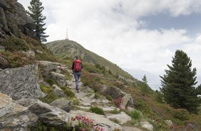 Jochleitensteig: Auf der stillen Seite des Patscherkofels