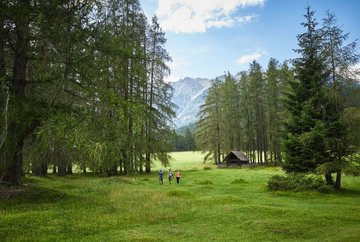 Mooswiesen-Runde