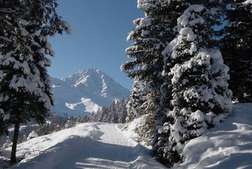 Piste de luge - Bergbahnen Oberperfuss