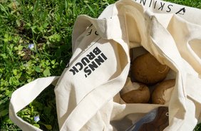 Funghi biologici tirolesi: i funghi al loro meglio