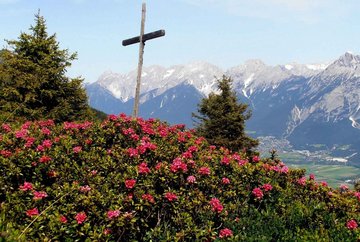 Sentiero Alpenrosensteig a Oberperfuss