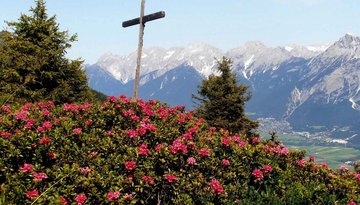 The Alpenrosensteig trail (route no. 14a) - circular hike