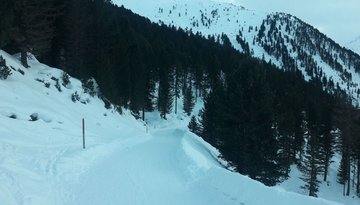 Rodelbahn Juifenalm