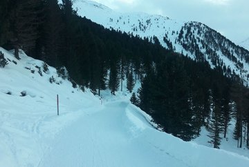 Pista da slittino Juifenalm