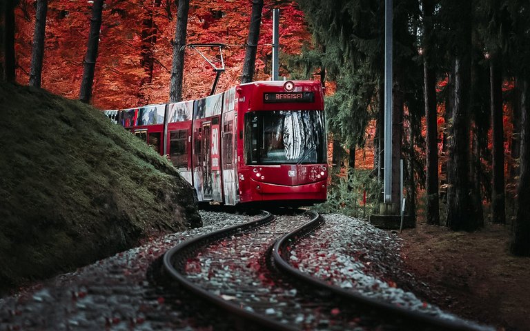 Viaje al campo: el tranvía forestal