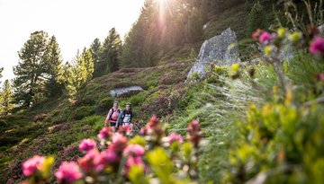Naturführung am Patscherkofel 