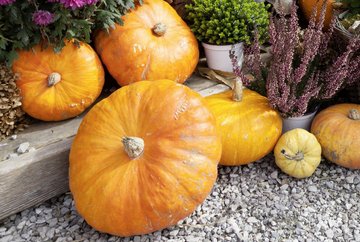 Harvest festival in Sistrans