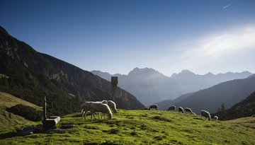 Adlerweg-Etappe 14: Innsbruck - Solsteinhaus