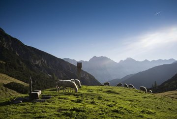 The Adlerweg (Eagle's Way) stage 14: Innsbruck - Solsteinhaus