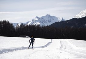 Langlaufen am Mieminger Plateau
