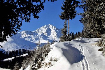 Rangger Köpfl 1,939 m