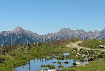 Sentiero Alpenrosensteig a Oberperfuss