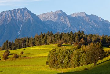 Rosengarten