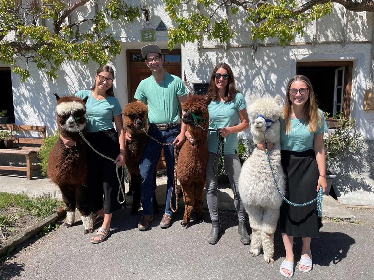 Zij aan zij wandelen met alpaca's