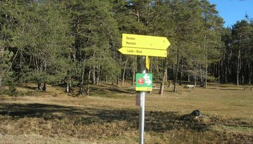 Mooswiesen meadows