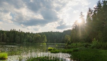 Lake Möserer See